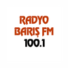undefined Baris FM
