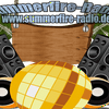 undefined Summerfire Radio