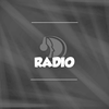 undefined ts3radio