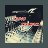undefined Radio Trasmix