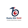 undefined Radio 854 Gold