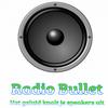 undefined radio-bullet