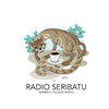 undefined Radio Seribatu - Village
