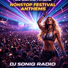 undefined SONIQ Festival FM