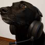 Radio fs1