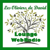 Les Oliviers De David
