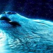 Partywolf
