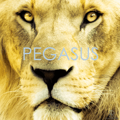 Pegasus