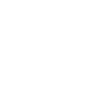 Policemodzxd