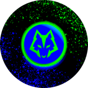 S Flux