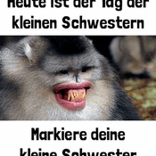 Sguenther Moeth