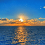 sunshine85