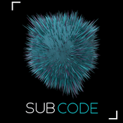 Radio Subcode