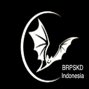 Bat Radio PSKD Indonesia