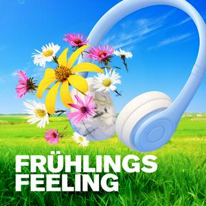 FFH FRÜHLINGS FEELING