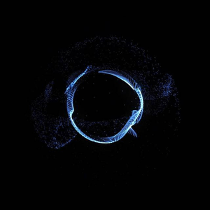 drumandbass_fm