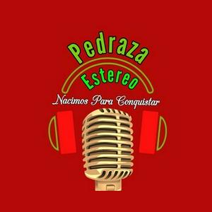 Pedraza Estereo
