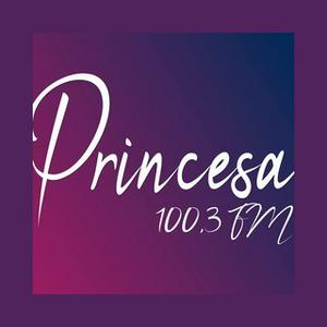 Rádio Princesa FM 100.3