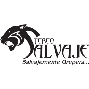 Stereo Salvaje 