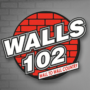 WALS - Walls 102