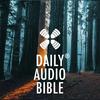 undefined 1 Year Daily Audio Bible DAILY AUDIO BIBLE