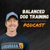 undefined Balanced Dog Training With Suburban K9