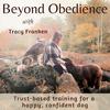 undefined Beyond Obedience | Dog Training, Dog Behaviour Training, Scared Dogs, Reactive Dogs