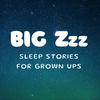undefined Big Zzz: Sleep Stories for Grown Ups