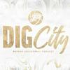 undefined Dig City - Purdue Volleyball Podcast