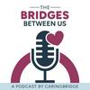 undefined The Bridges Between Us