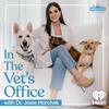 undefined In The Vet's Office with Dr. Josie Horchak