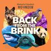 undefined Back From the Brink,  from Mutual of Omaha's Wild Kingdom