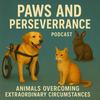 undefined Paws and Perseverance