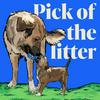 undefined Pick of the Litter Podcast