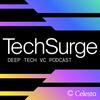 undefined TechSurge: Deep Tech Podcast