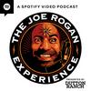 undefined The Joe Rogan Experience