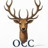 undefined The OCC pod