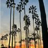undefined The Pros of San Diego Unmatched