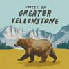 undefined Voices of Greater Yellowstone