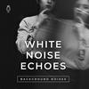 undefined White Noise Echoes