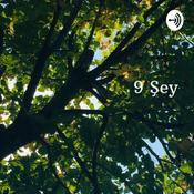 Podcast 9 Şey