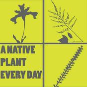 Podcast A Native Plant Every Day