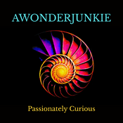 Podcast AWONDERJUNKIE