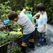 Podcast All Things Gardening