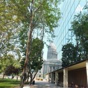 Podcast All Things New City