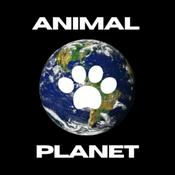 Podcast Animal Planet