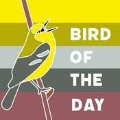 Podcast Bird of the Day