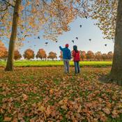 Podcast Bird Watching in the Southeast