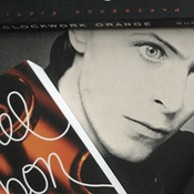 Podcast Bowie Book Club Podcast