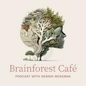 Podcast Brainforest Café